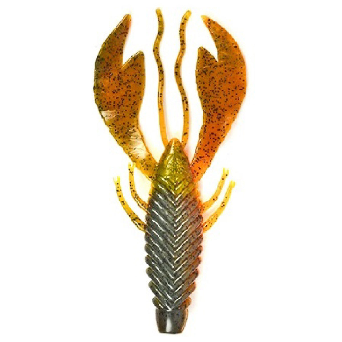 Fishco Collections – FishCo